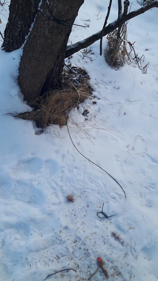 fot. Nadleśnictwo Lubaczów